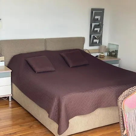 Apartment Dinka Vip Opatija