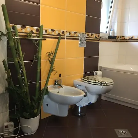 Dinka Vip Apartment *